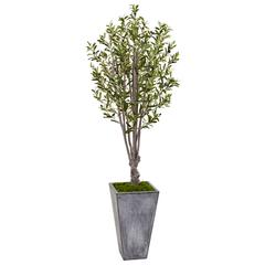 6ft. Olive Artificial Tree in Stone Planter