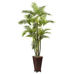 6.5ft. Areca with Decorative Planter