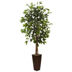 5.5ft. Ficus Tree with Bamboo Planter