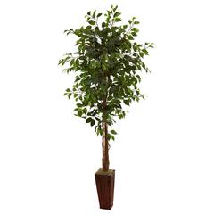 6ft. Ficus Tree with Bamboo Planter