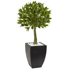 42in. Bay Leaf Topiary with Black Wash Planter UV Resistant (Indoor/Outdoor)