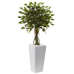 52in. Ficus Tree with White Planter, UV Resistant (Indoor/Outdoor)