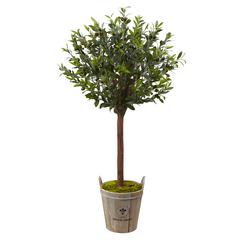 4.5ft. Olive Topiary Tree with European Barrel Planter
