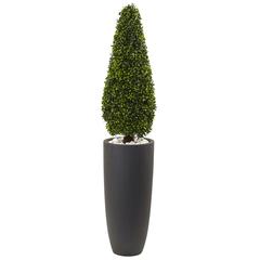 50in. Boxwood Topiary with Gray Cylindrical Planter UV Resistant (Indoor/Outdoor)