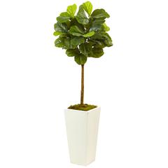 4.5ft. Fiddle Leaf Fig in White Planter (Real Touch)
