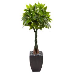 5ft. Money Artificial Tree in Black Square Planter