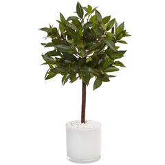 2ft. Sweet Bay Artificial Tree in White Glossy Cylinder