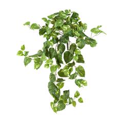 40in. Pothos Hanging Bush (Set of 3)