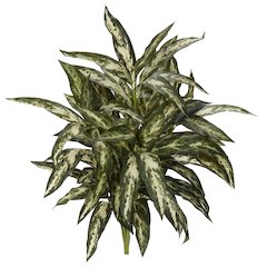 30in. Aglaonema Artificial Plant (Set of 3)