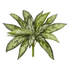 10in. Variegated Silver Queen Artificial Plant (Set of 6)