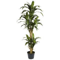 5ft. Yucca Silk Plant