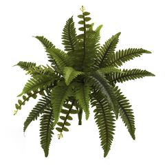 14in. Boston Fern Artificial Plant (Set of 6)