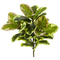 23in. Rubber Leaf Artificial Plant (Real Touch) (Set of 3)