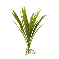 15in. Grass Artificial Plant (Set of 6)