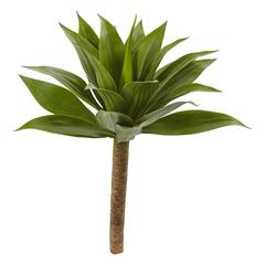 32in. Agave Plant with Stem