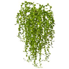 Senecio Artificial Succulent Plant, Set of 3