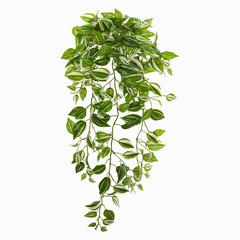 32in. Purple Heart Evergreen Hanging Artificial Plant (Set of 2) (Real Touch)