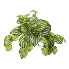 11in. Watermelon Peperomia Hanging Artificial Bush Plant (Set of 12) (Real Touch)