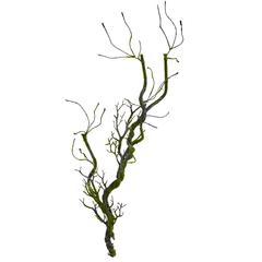 32in. Moss Twig Vine Artificial Plant (Set of 4)