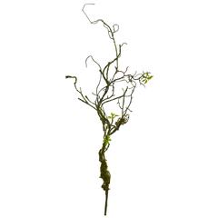 24in. Moss Twig Vine Artificial Plant (Set of 6)