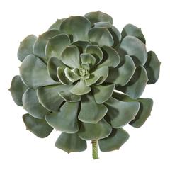13in. Giant Echeveria Succulent Pick Artificial Plant (Set of 2)