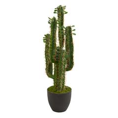 2.5ft. Cactus Artificial Plant