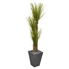 5.5ft. Triple Stalk Yucca Artificial Plant in Slate Planter