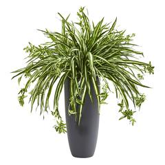 33in. Spider Artificial Plant in Cylinder Planter