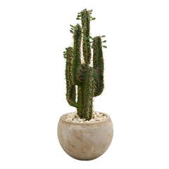 2.5ft. Cactus Artificial Plant in Bowl Planter