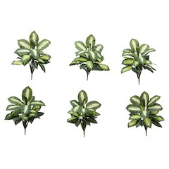 20in. Artificial Golden Dieffenbachia Plant - Set of 6