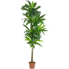 6ft. Dracaena Silk Plant (Real Touch)