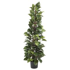 63in. Pothos Climbing Silk Plant