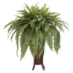 Boston Fern with Stand Silk Plant