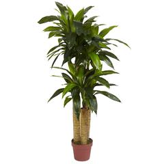 4ft. Corn Stalk Dracaena Silk Plant (Real Touch)