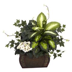 African Violet, Dieffenbachia & Ivy with Chest Silk Plant
