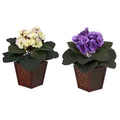 African Violet with Vase Silk Plant (Set of 2)