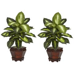 Dieffenbachia with Wood Vase Silk Plant (Set of 2), Golden