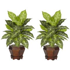 Dieffenbachia with Wood Vase Silk Plant (Set of 2), Variegated