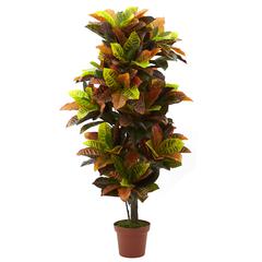 56in. Croton Plant (Real Touch)
