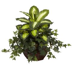 Dieffenbachia & Ivy with Decorative Planter