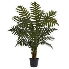 3.5ft. Evergreen Plant