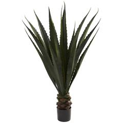 52in. Giant Agave Plant