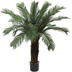 4ft. Cycas Tree UV Resistant (Indoor/Outdoor)