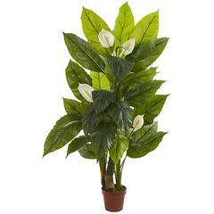 4.5ft. Spathiphyllum Plant (Real Touch)