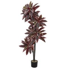 54in. Caladium Silk Plant