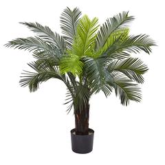 3ft. Cycas Tree UV Resistant (Indoor/Outdoor)