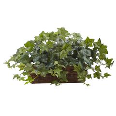 Puff Ivy with Ledge Basket