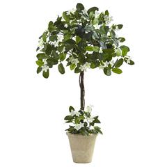 3ft. Stephanotis Topiary with Planter