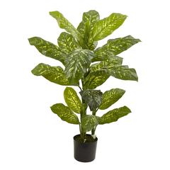 4ft. Dieffenbachia Plant (Real Touch)
