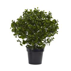 28in. Peperomia Plant UV Resistant (Indoor/Outdoor)